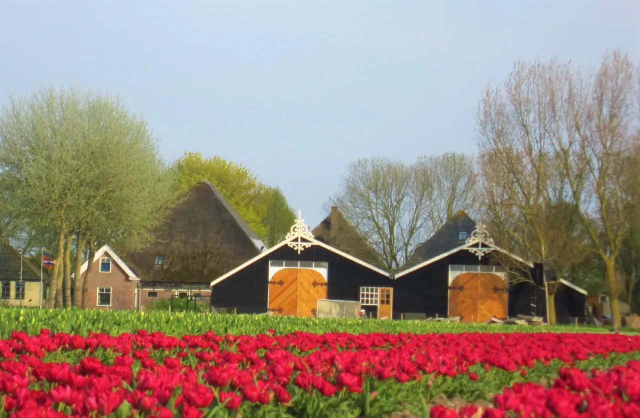 Bed & Welness de Smederij