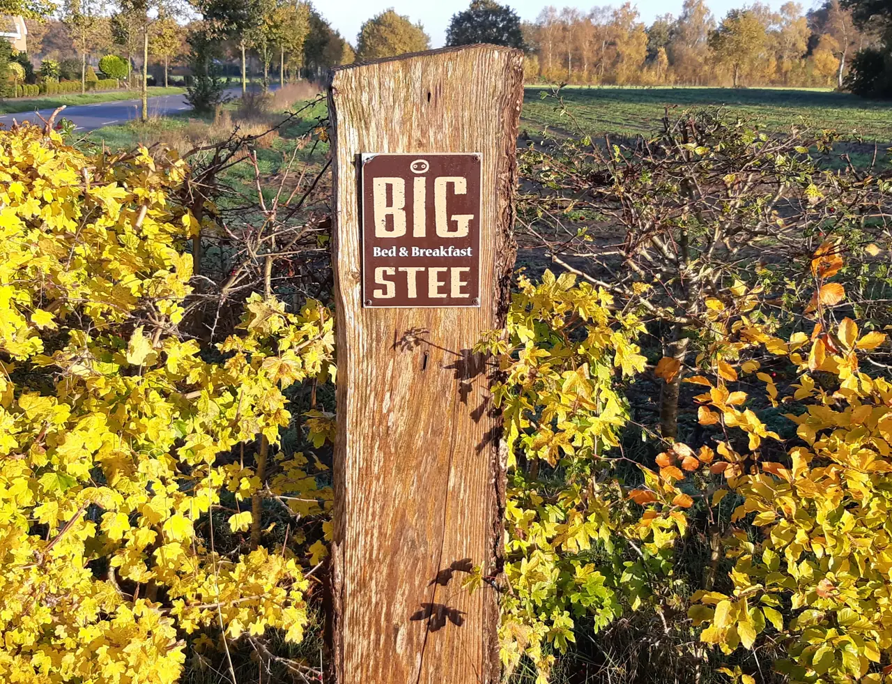 Bigstee Bed & Breakfast - B&B Lettele