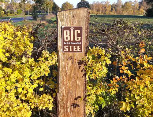 Bigstee Bed & Breakfast - B&B Lettele