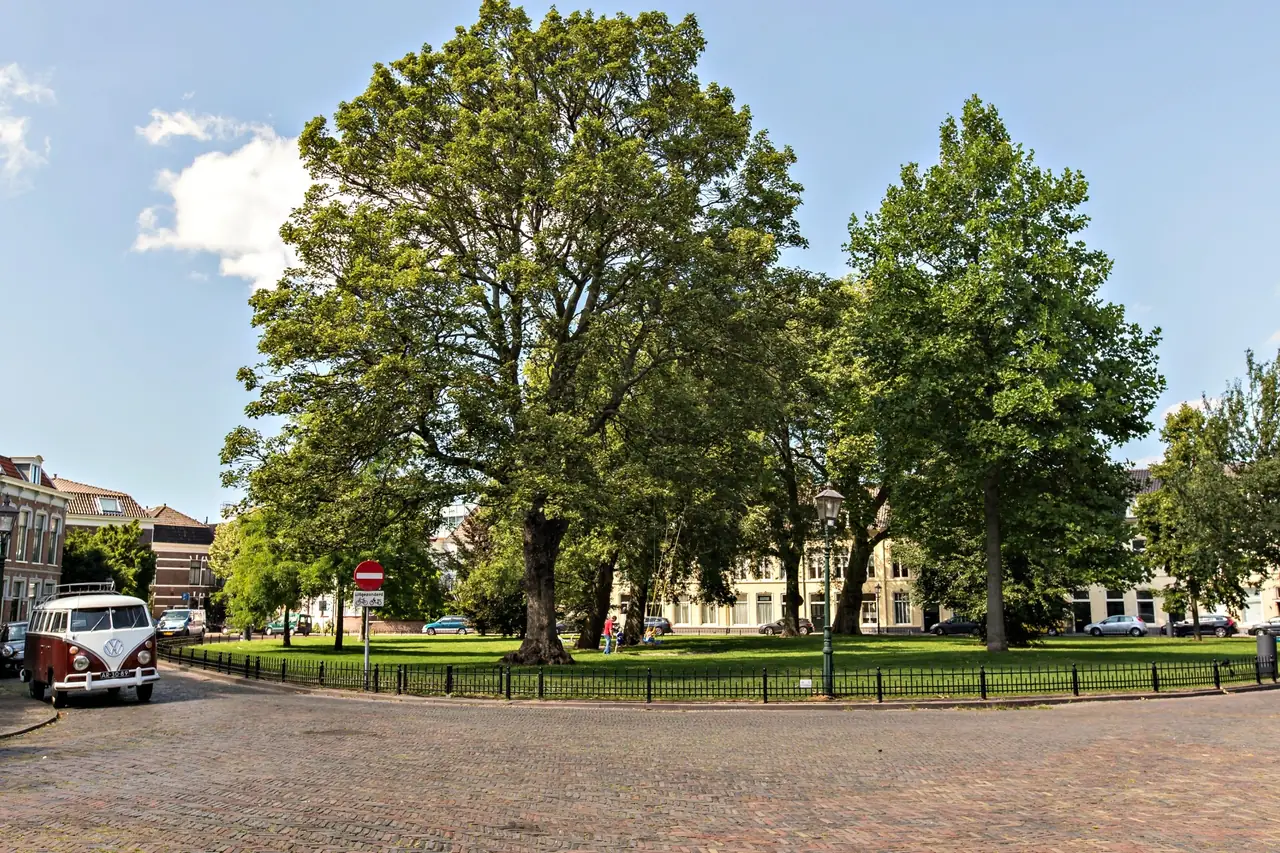 Park43 Bed and Breakfast - B&B Haarlem