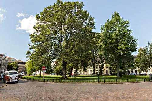 Park43 Bed and Breakfast - B&B Haarlem