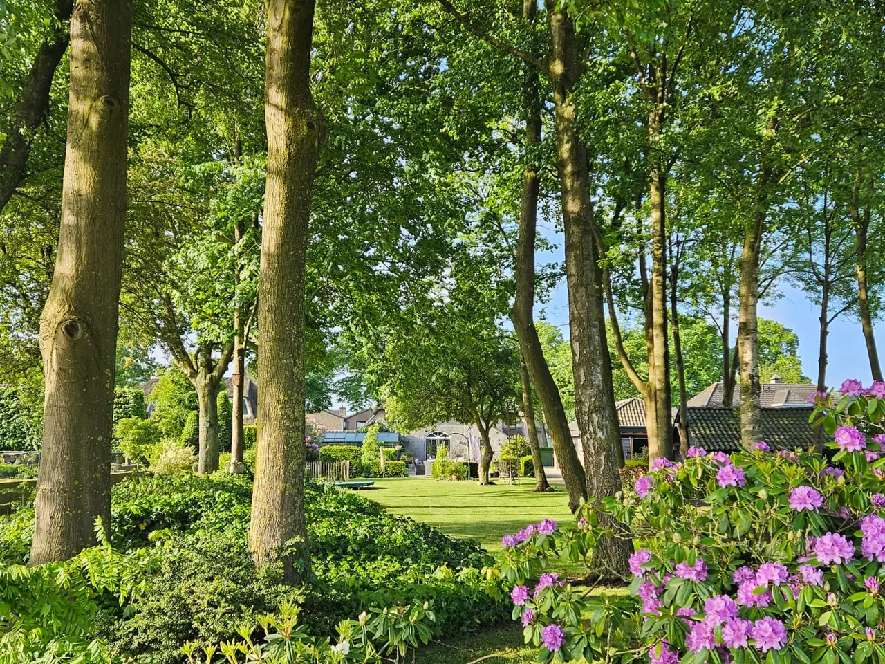 B&B Berghs Buitenleven - Bed and Breakfast Berghem