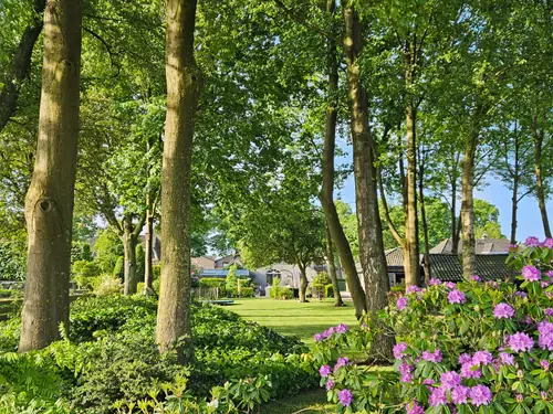 B&B Berghs Buitenleven - Bed and Breakfast Berghem