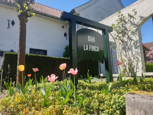 B&B La Finca - B&B Born