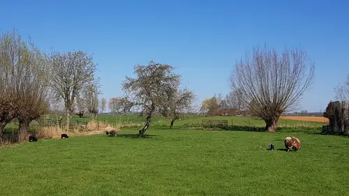 Kekum's Bed & Brood - B&B Kedichem