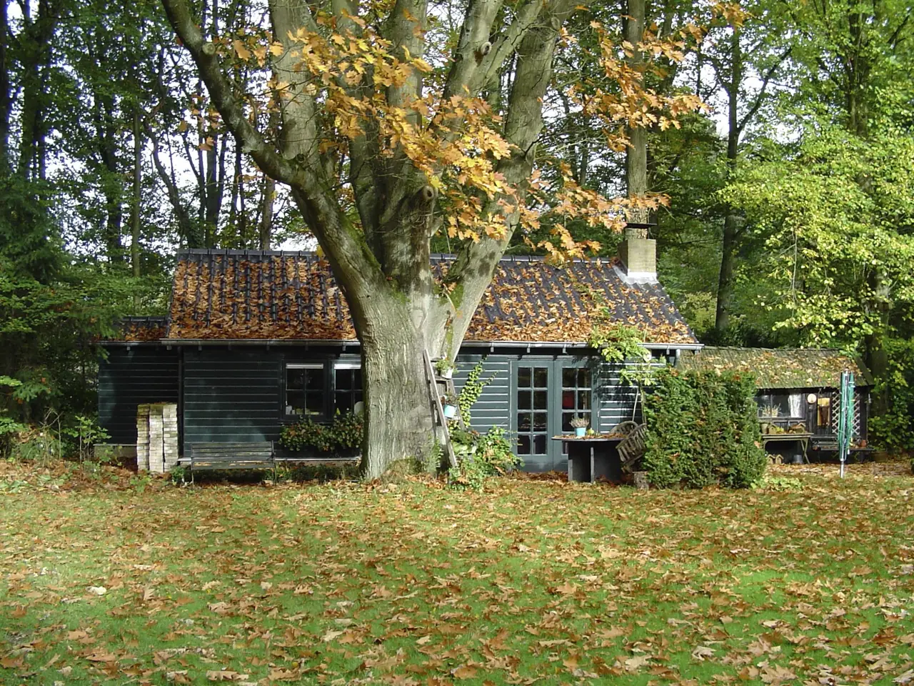 Sint Nicolaas - B&B Wiesel