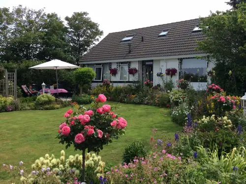 Kooiman - B&B De Waal