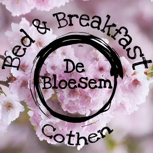 Bed and Breakfast De Bloesem - Bed and Breakfast Cothen