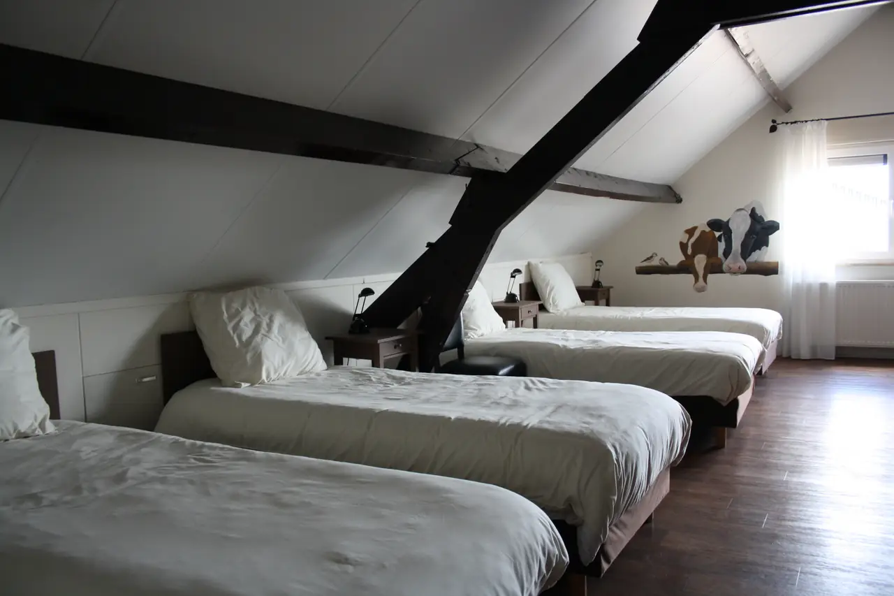 Kamer 4 / familiekamer