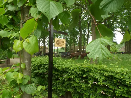 Bed & Breakfast 't Loont - B&B Waalre