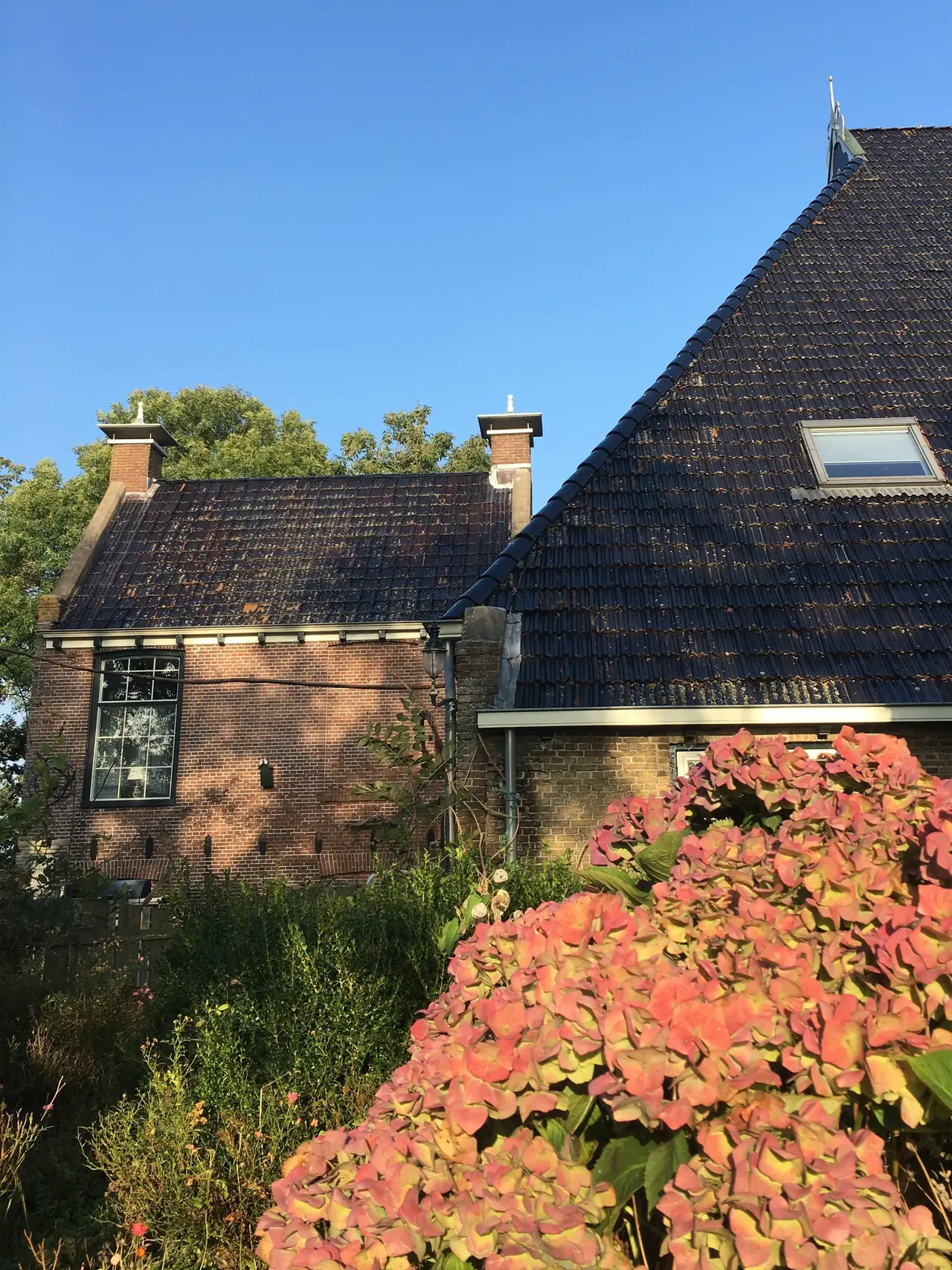 De Heidepleats - B&B Sint Nicolaasga