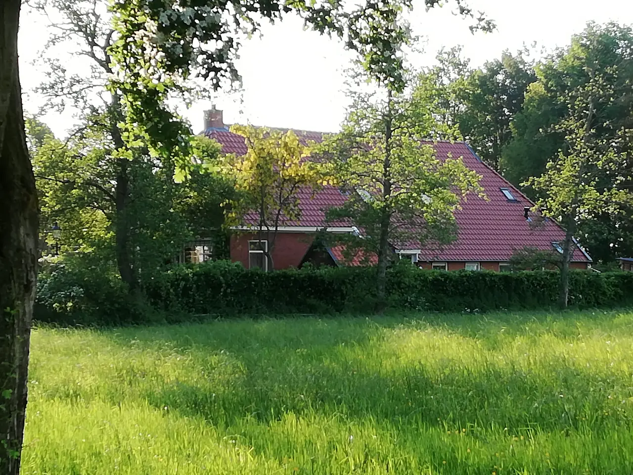 4 't Westerkwartier - Bed and Breakfast Boerakker