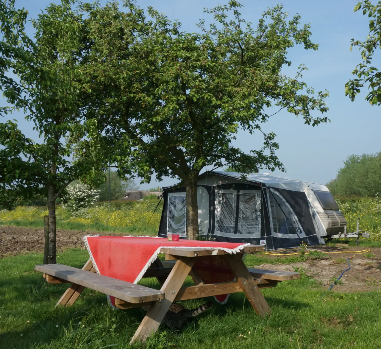 PIP-CARAVAN "de Stokroos"