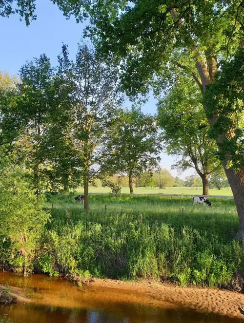 B&B Erve Iemhorst - B&B Losser