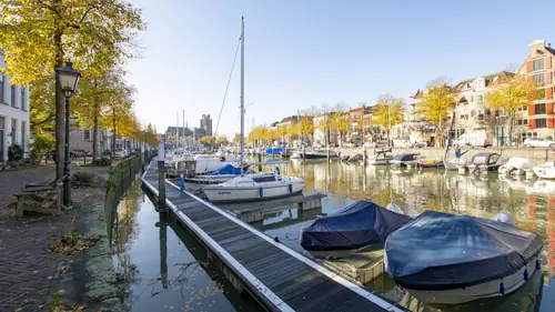 Pura Vida Dordrecht - B&B Dordrecht