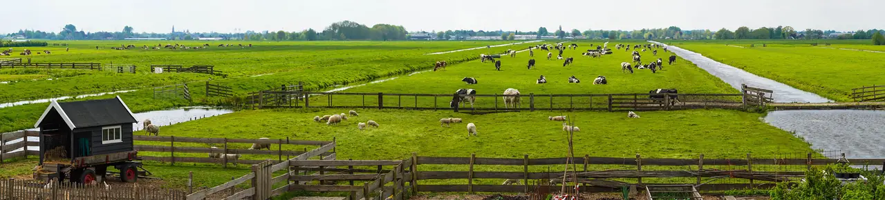 Bed en Breakfast Hartenlust - Bed and Breakfast Bodegraven