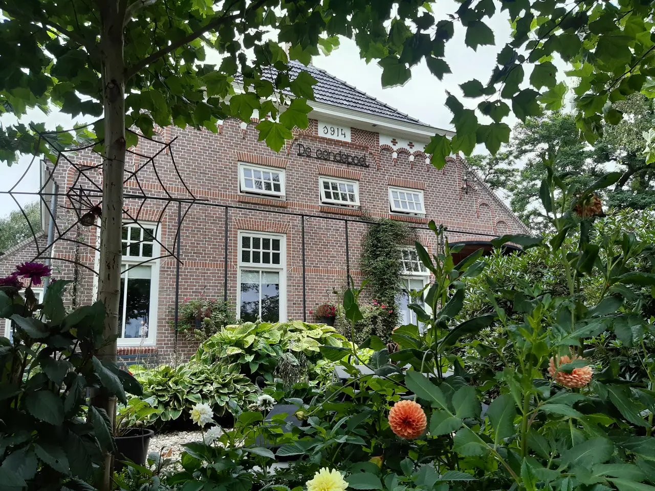 de Eendepoel - Chambres d’hôtes Sellingen