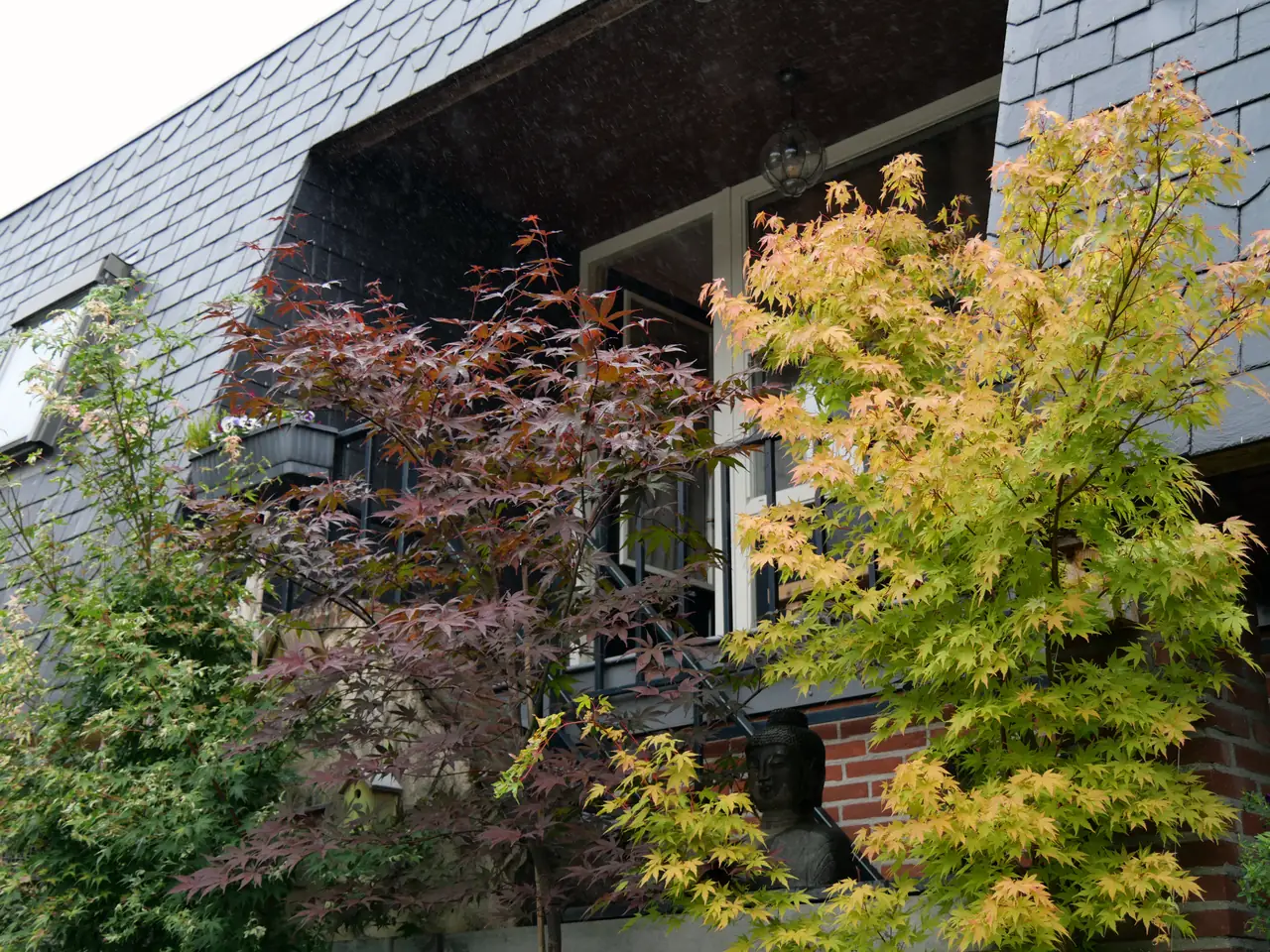 Puur-Baarlo - B&B Baarlo