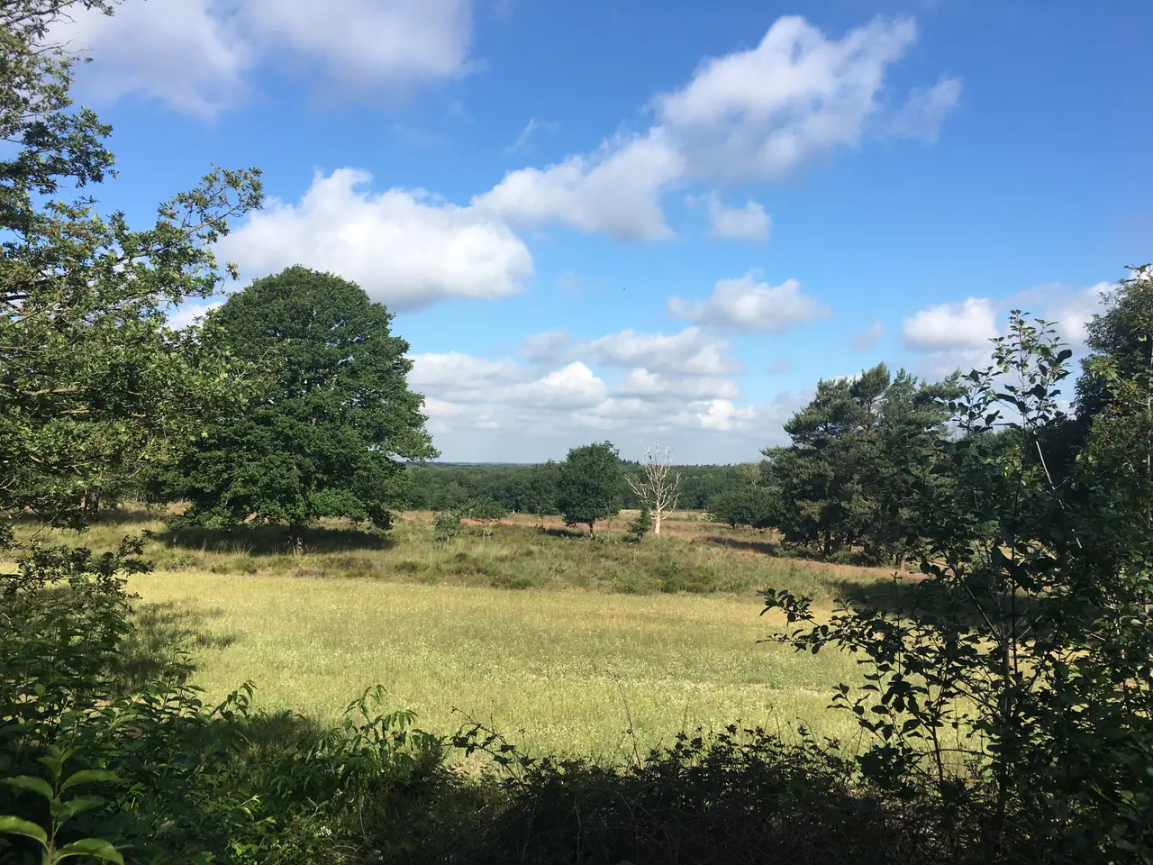 B&B Woudzicht Groesbeek - B&B Groesbeek