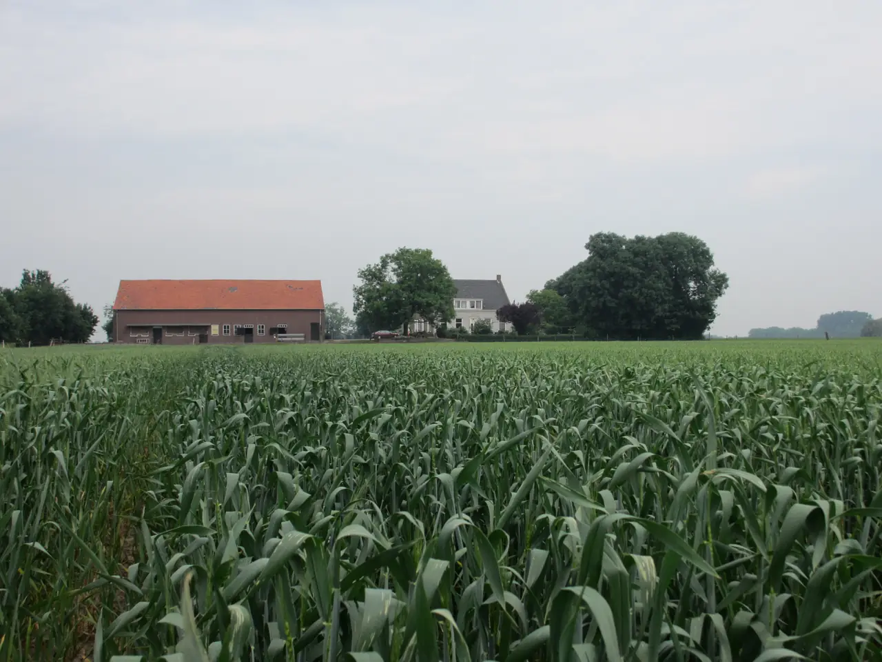 B&B Boerderij Wijtvliet - B&B Langeweg