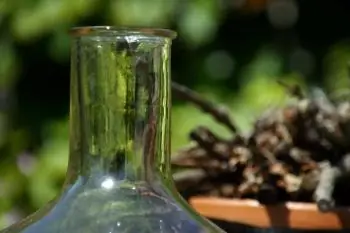 Anne's Ding - B&B Delft