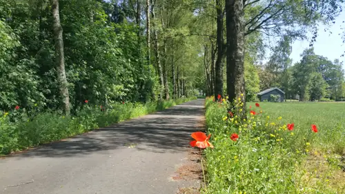 B&B Sloaphuuske - B&B Bathmen