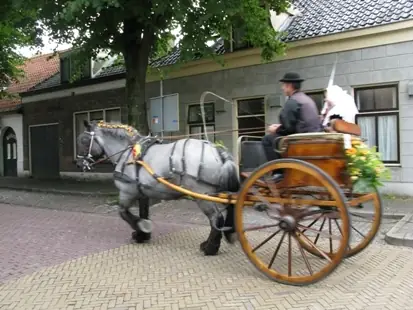 Searose - Bed and Breakfast Serooskerke