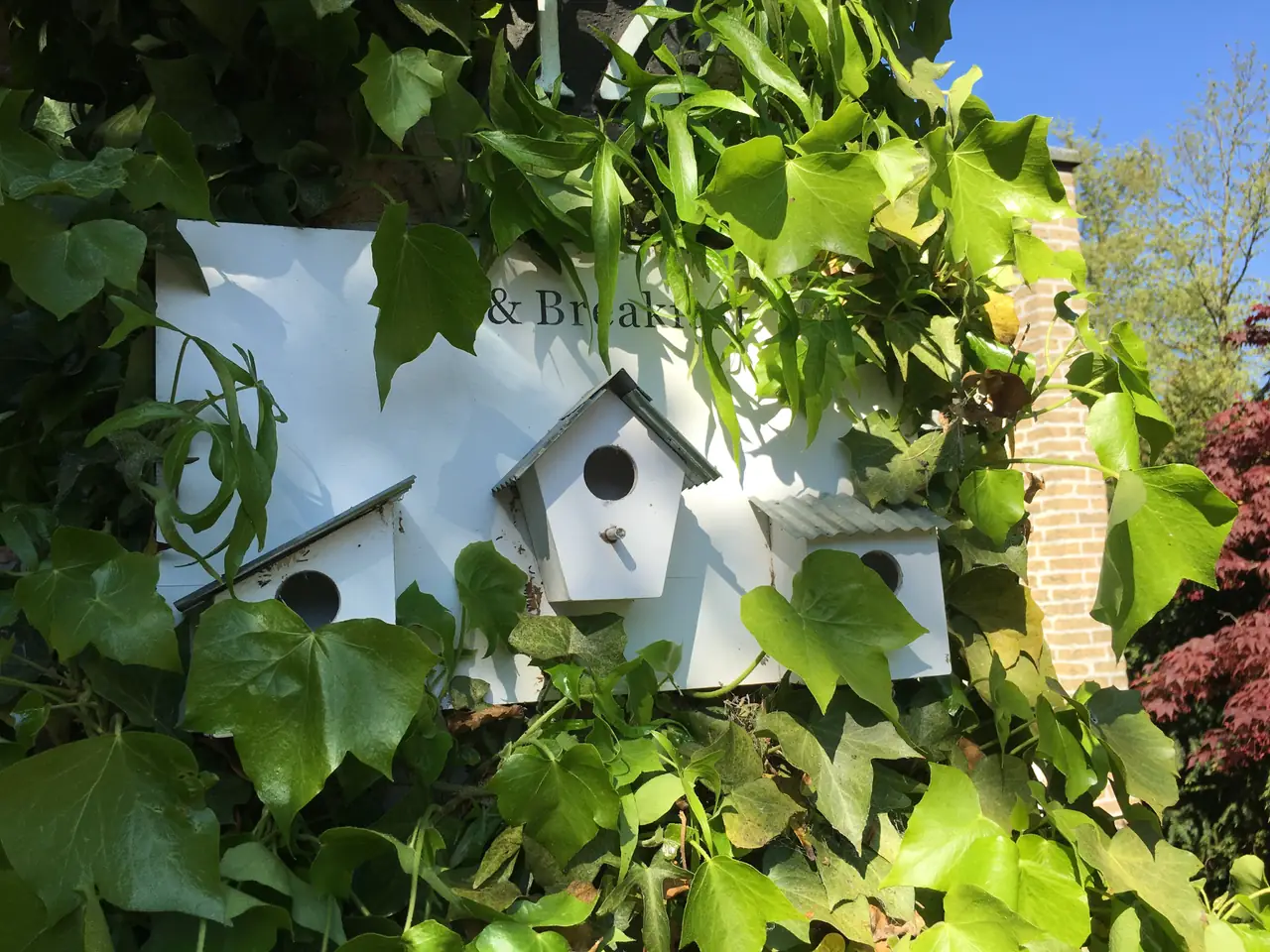 Rue Montagne - B&B Zelhem