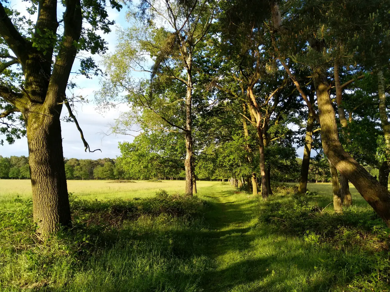 Heerlijck Gastvrij - B&B De Mortel
