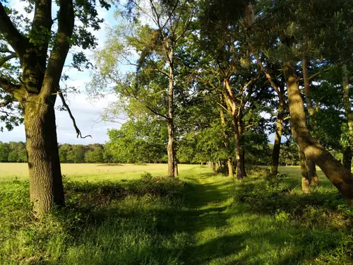 Heerlijck Gastvrij - B&B De Mortel