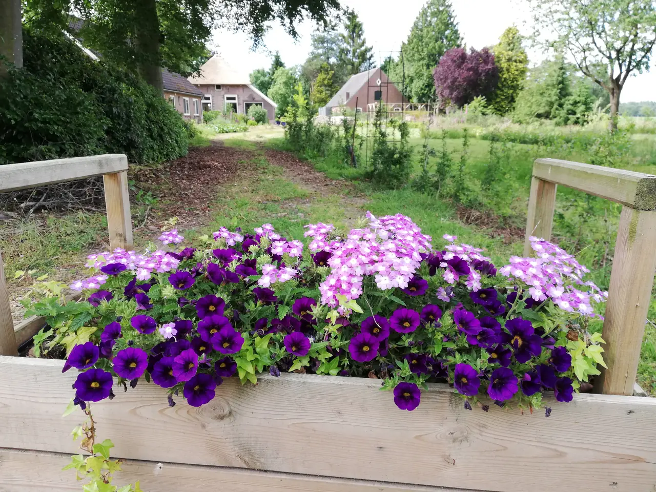 Amadorra - B&B Laren