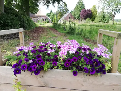 Amadorra - B&B Laren