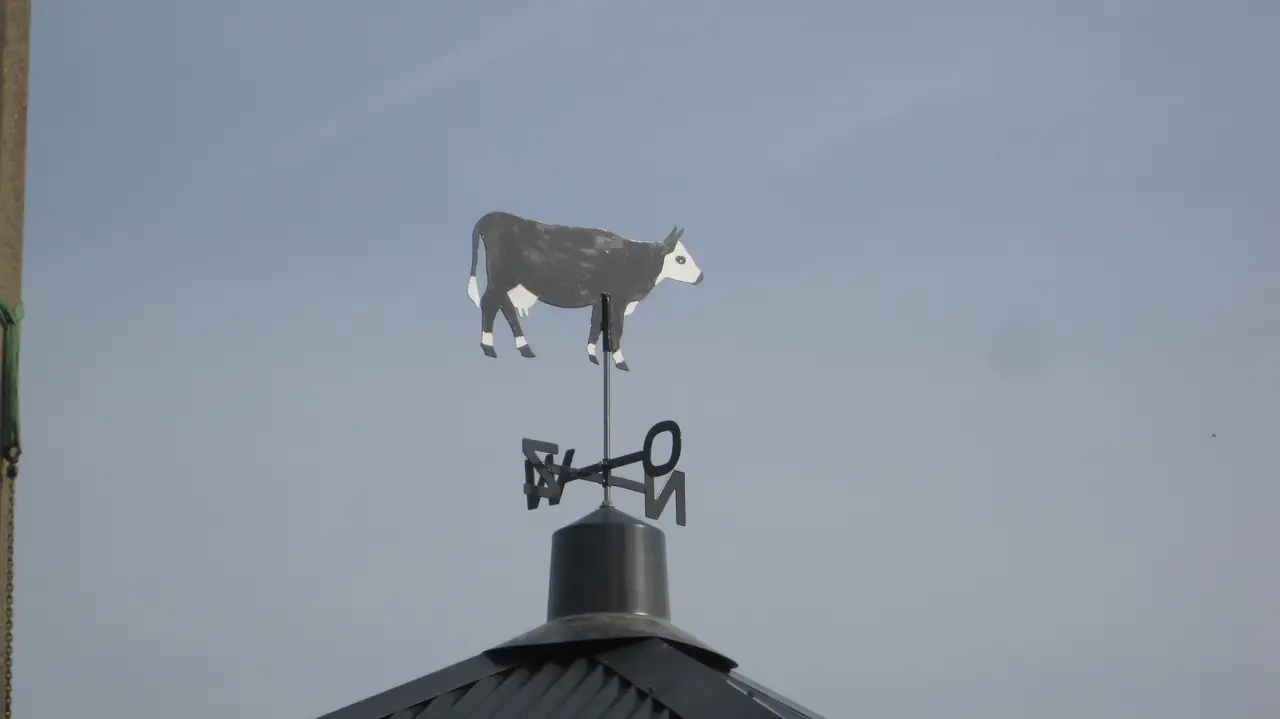 De Blaarkop B&B - B&B Nieuwe Wetering