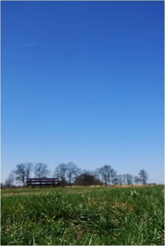 Hof der Wonderen - B&B Hellendoorn