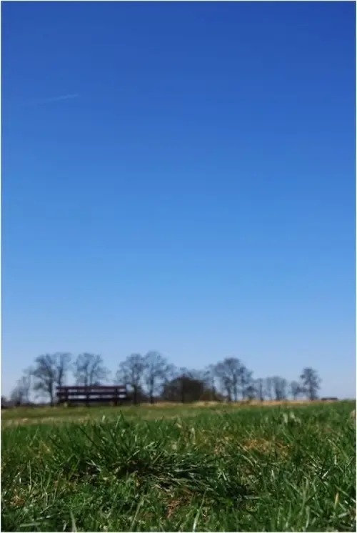 Hof der Wonderen - B&B Hellendoorn