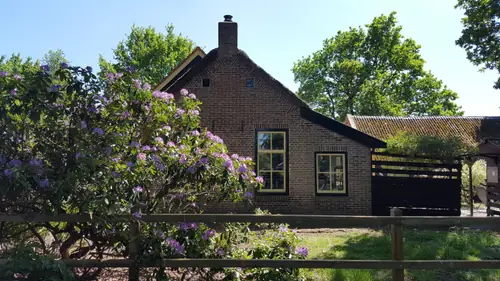 Hoeve 202 - Bed and Breakfast Noordwolde