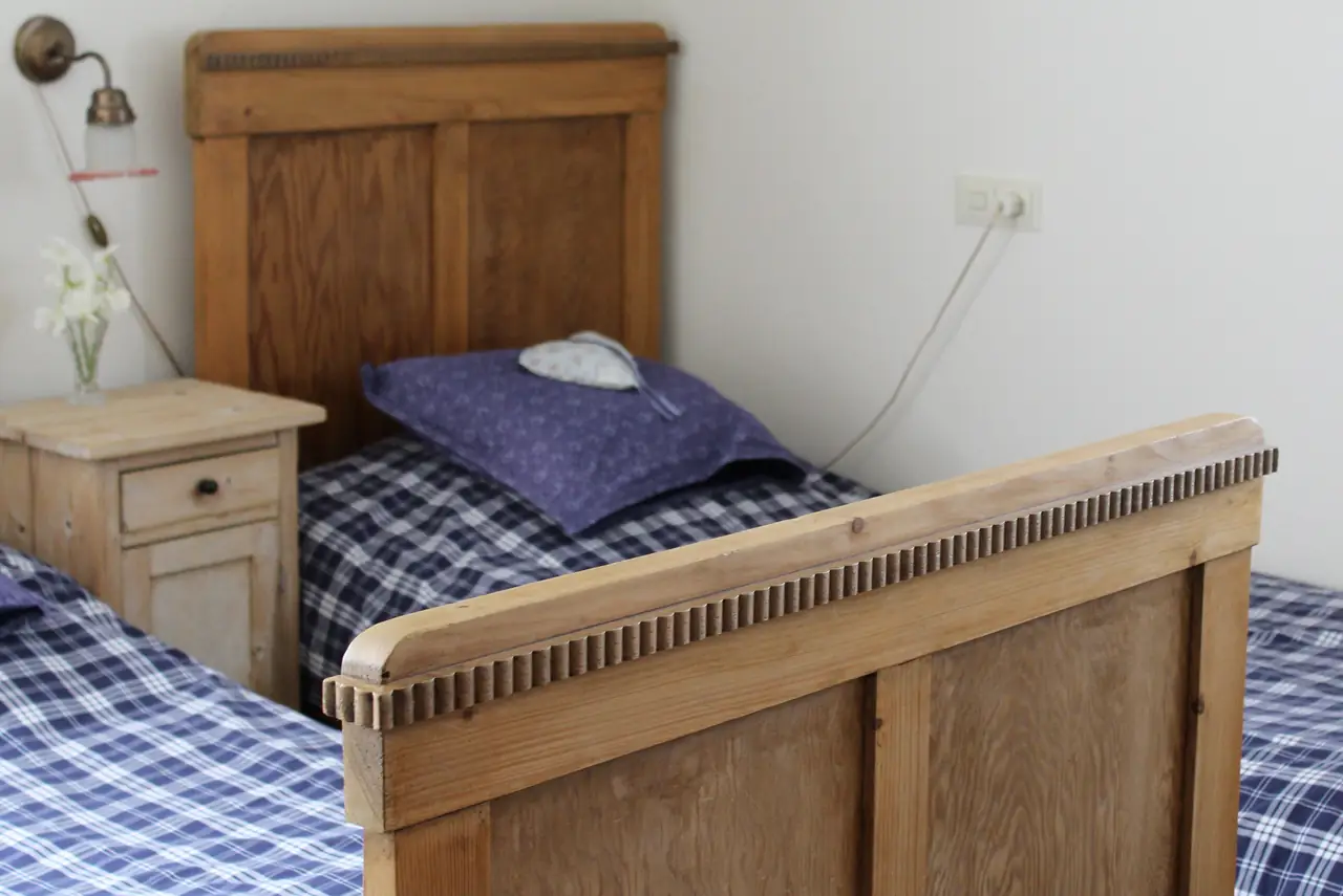 Lavenderdream - Bed and Breakfast Wijckel