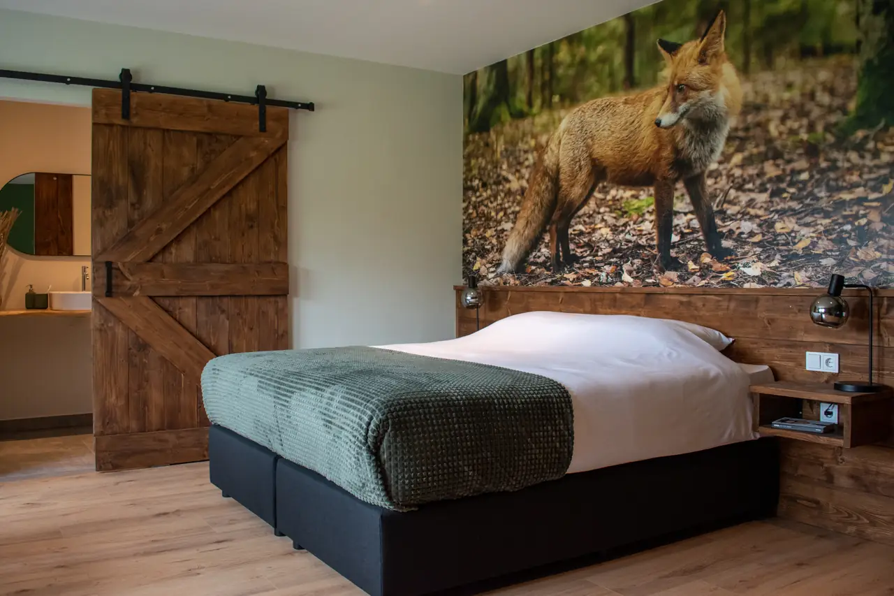 Buiten Loon - Bed and Breakfast Loon op Zand