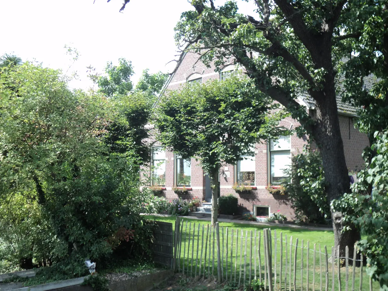 B&B De Kaagse Koe - B&B Abbenes