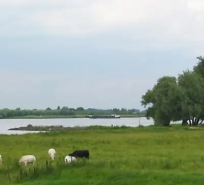 Bed and Breakfast Wolf - B&B Sleeuwijk