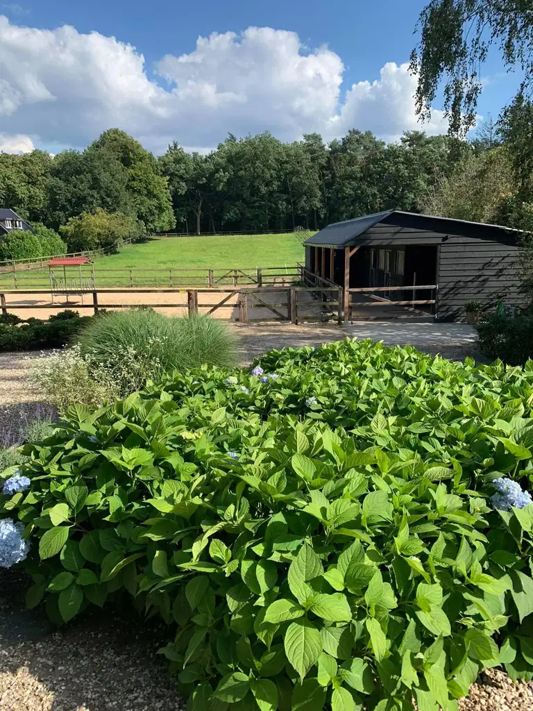 Bed & Breakfast De Paalberg - Bed and Breakfast Hoenderloo