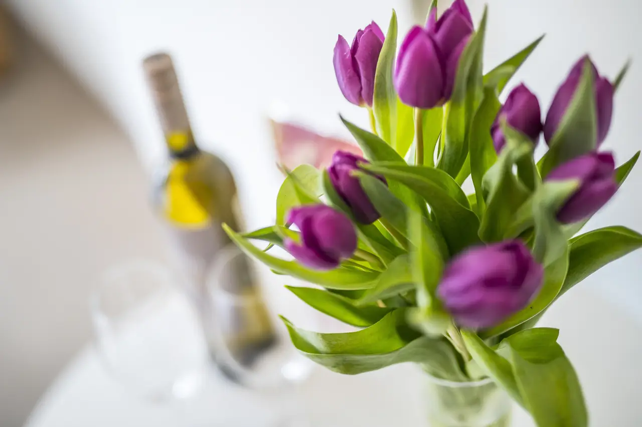 Residence Bercoline - Bed and Breakfast Maastricht