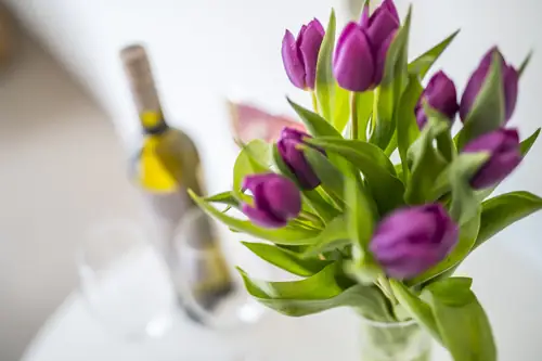 Residence Bercoline - Bed and Breakfast Maastricht