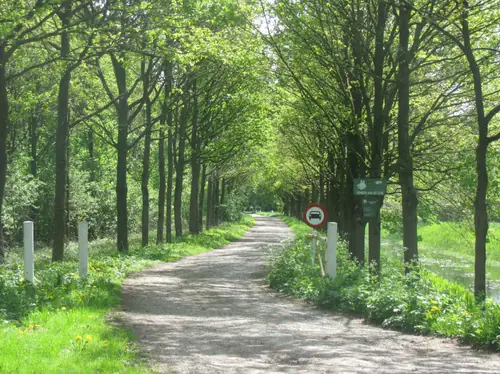 De Klaverbloem - Bed and Breakfast Angerlo