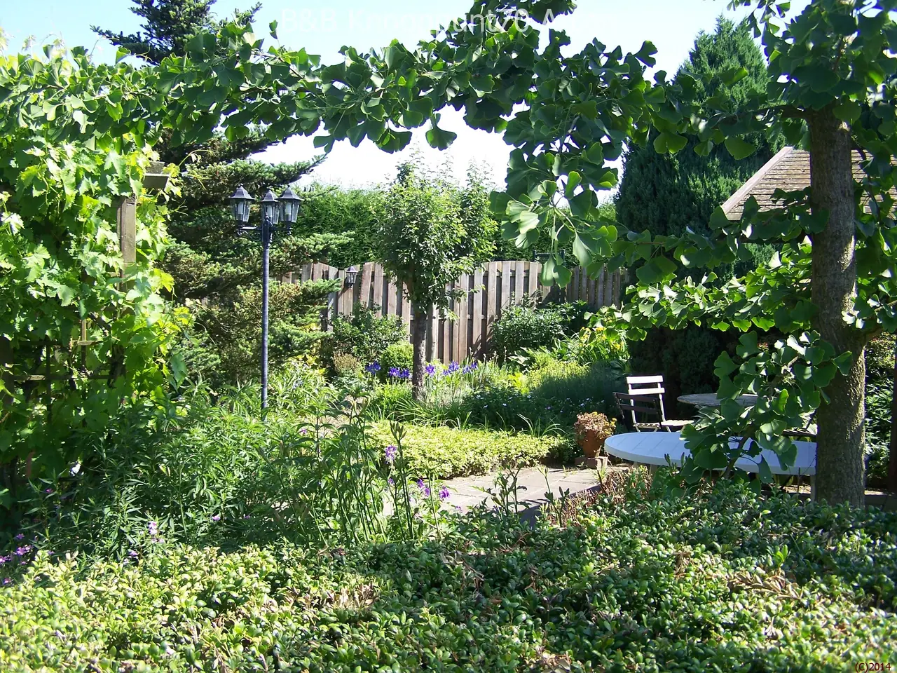 B&B Knooppunt70 - B&B Arcen