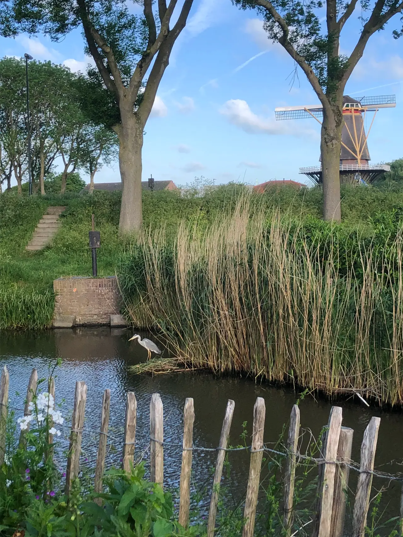 Inn de oude Praktijk - B&B Arkel