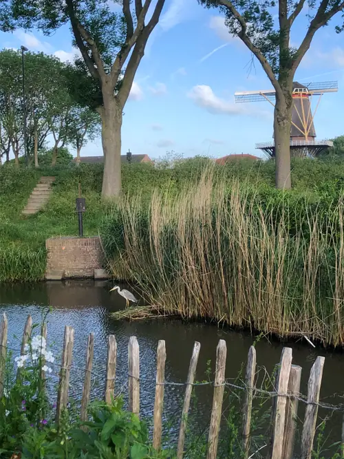 Inn de oude Praktijk - B&B Arkel