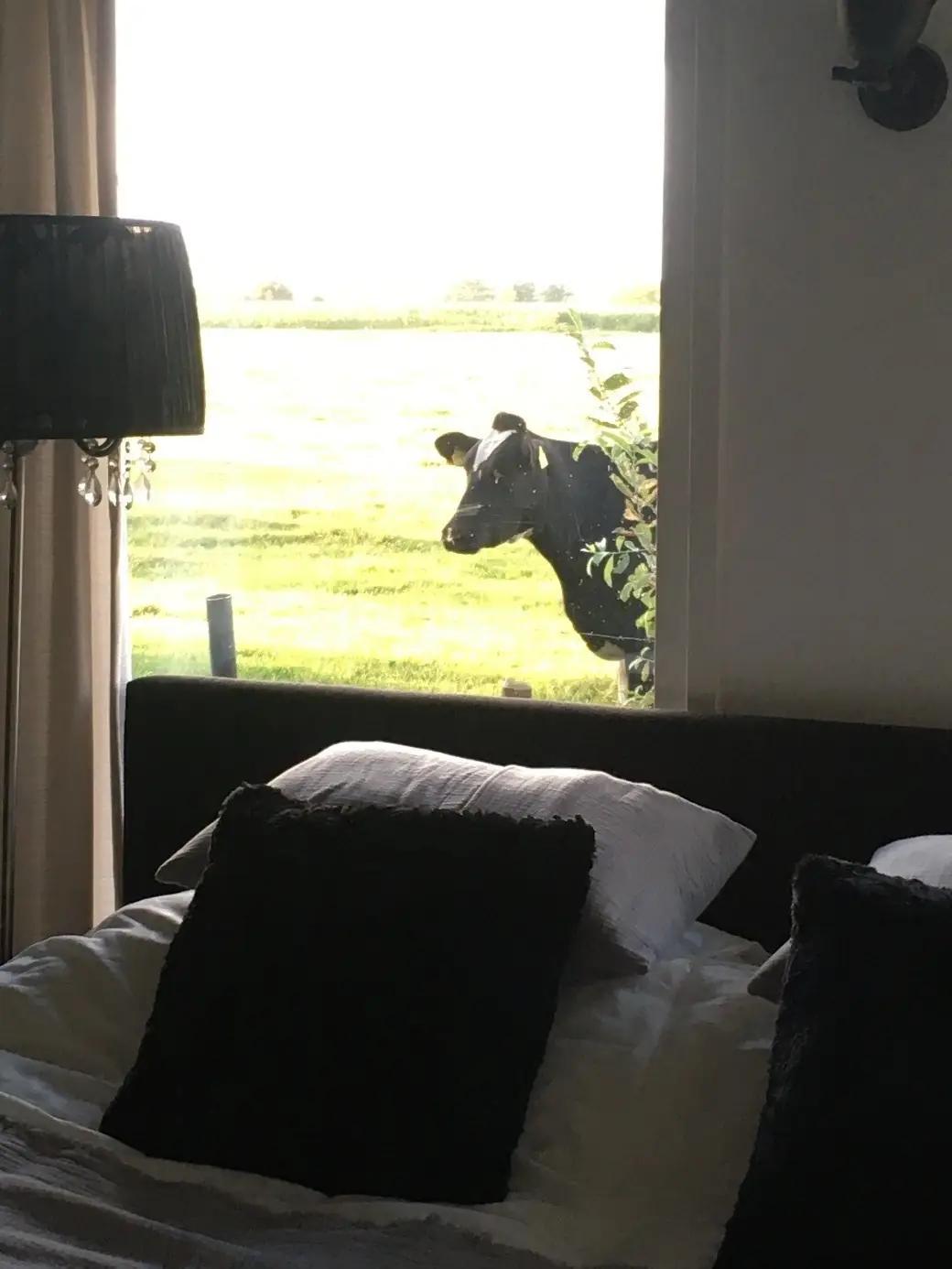 Le Petit Paradis - Bed and Breakfast Veeningen