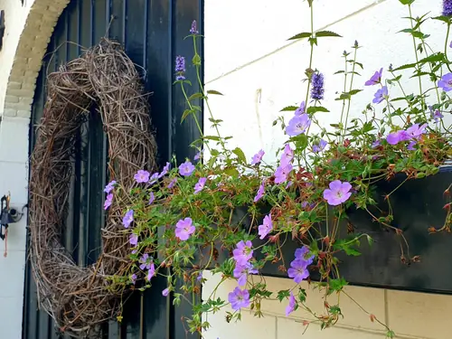 B&B La Finca - B&B Born