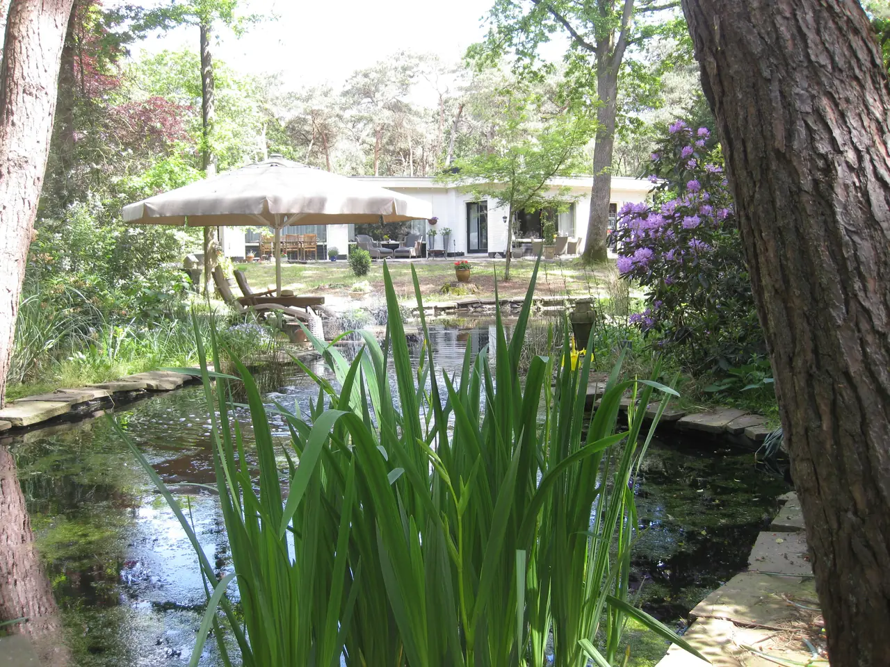 Bed & Breakfast Bosgeluk - B&B Helmond